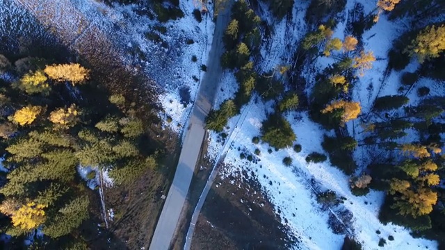 俯视喀纳斯景区公路视频素材