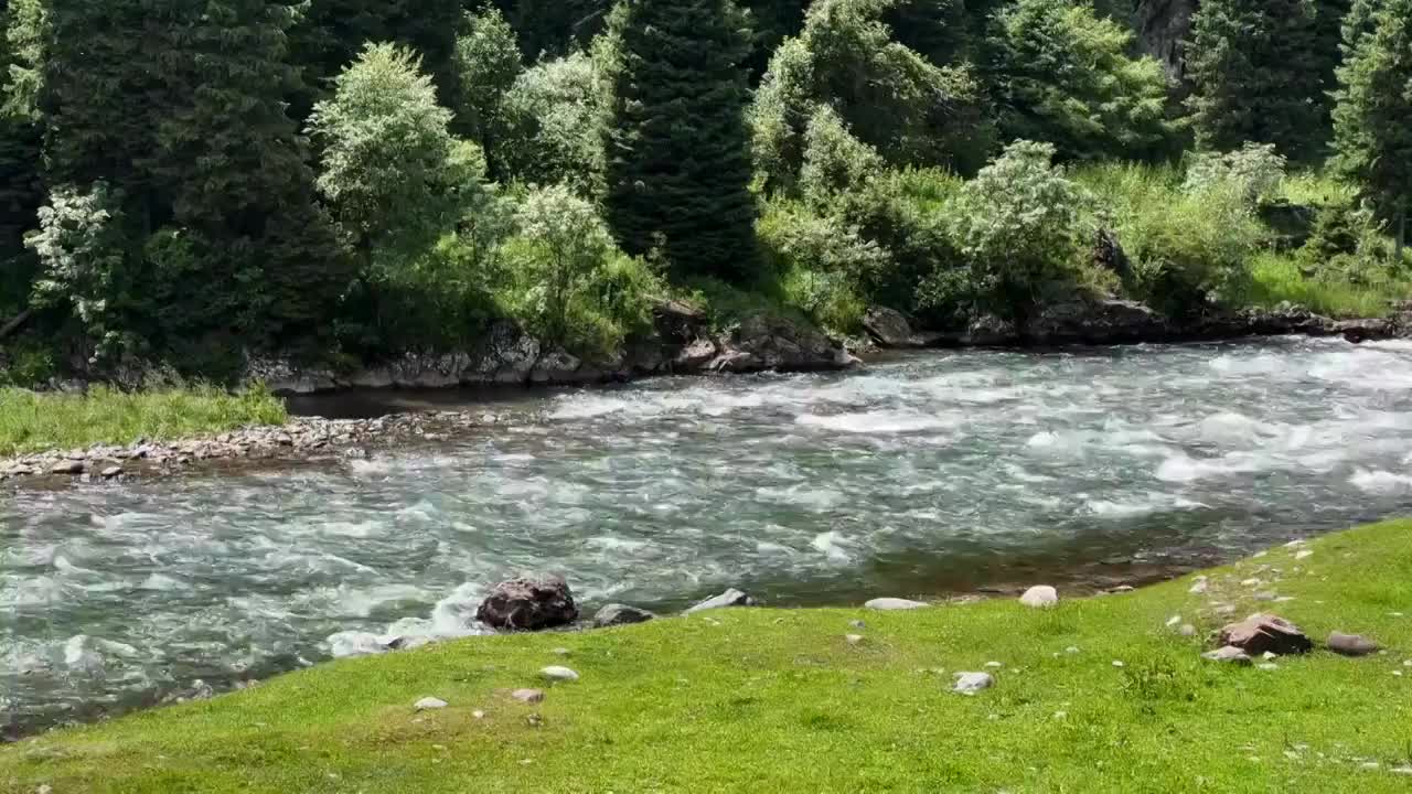 航拍森林河流风景视频素材