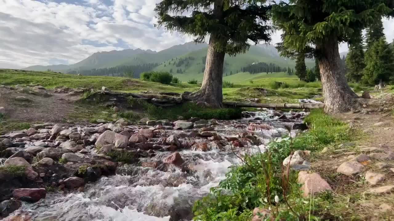 航拍森林河流风景视频素材