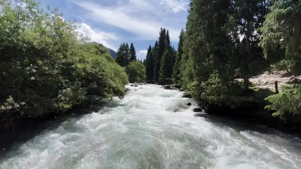 航拍森林河流风景视频素材