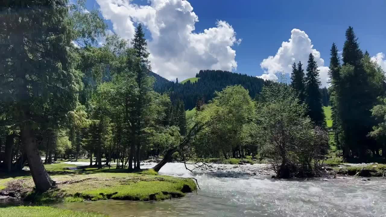 航拍森林河流风景视频素材