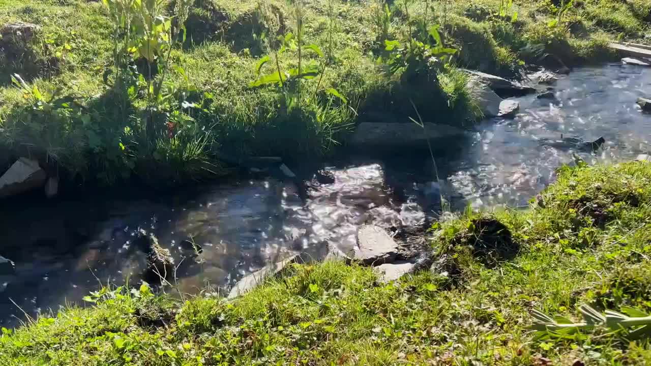 航拍森林河流风景视频素材