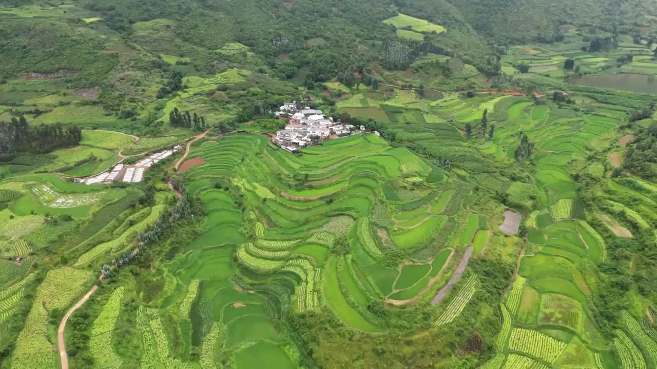 云南省红河州石屏县田园风光航拍视频素材