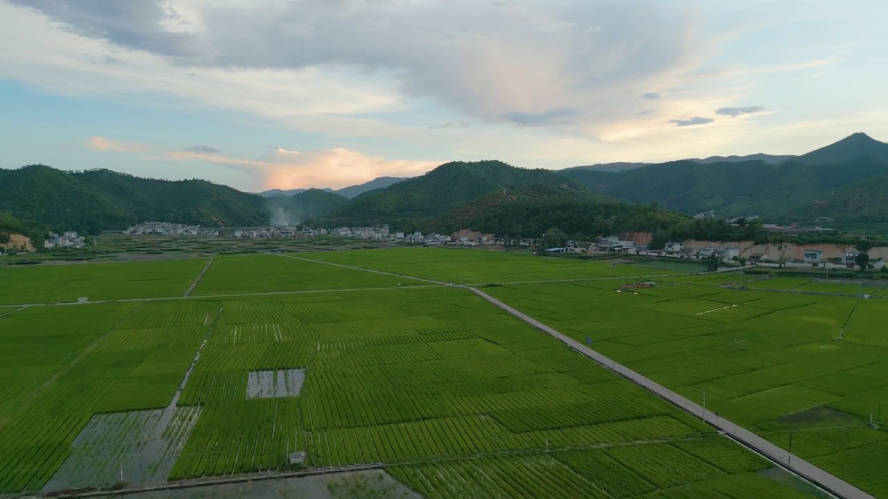 云南省红河州石屏县稻田风光视频素材