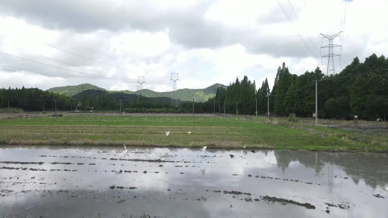 农村机器耕地海鸥鸟飞翔4K航拍60帧原素材视频素材