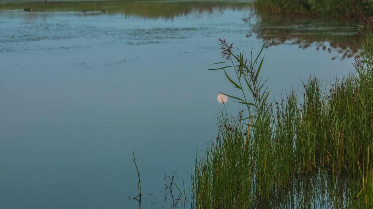 河北察北湖水中月落视频素材