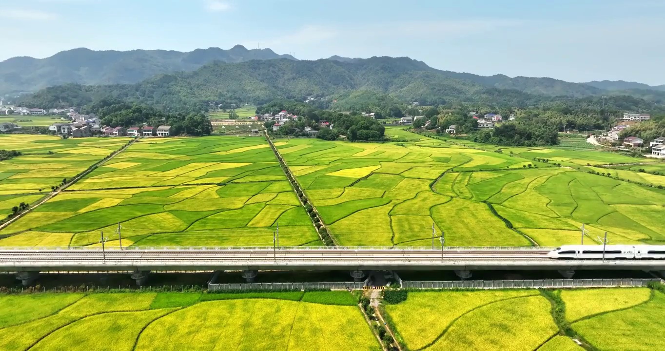 高铁 高速列车 火车 轨道交通 运输 旅行 旅途 和谐号 迅速 发展视频素材