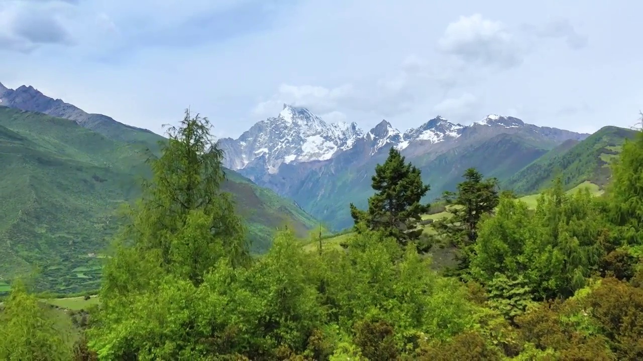 航拍四姑娘山森林雪山自然风光视频素材