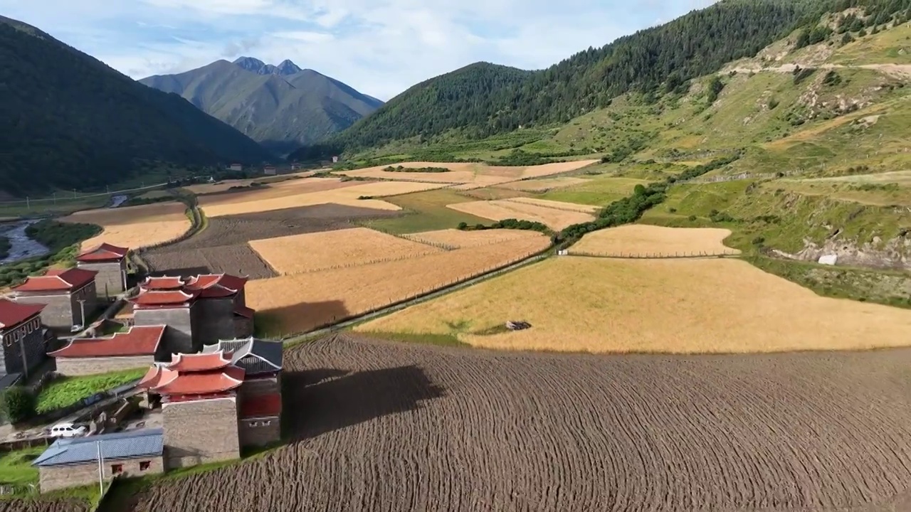 四川甘孜贡嘎山乡田园风光视频素材