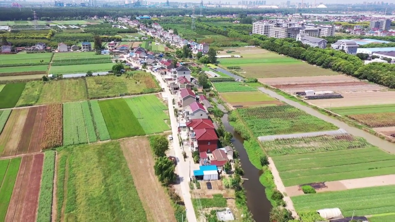 苏南京八卦洲的乡村田园风光和农田和民居风光视频素材