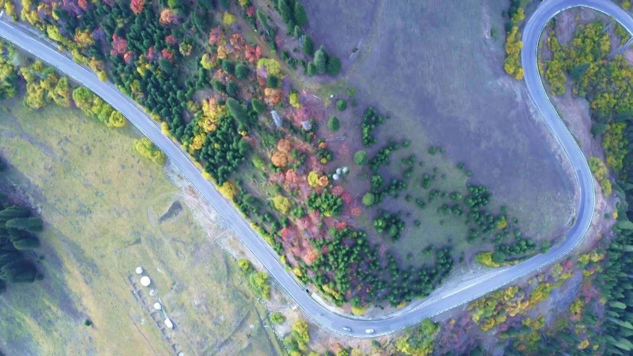 秋季的独库公路视频素材