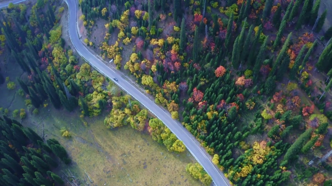 秋季的独库公路视频素材