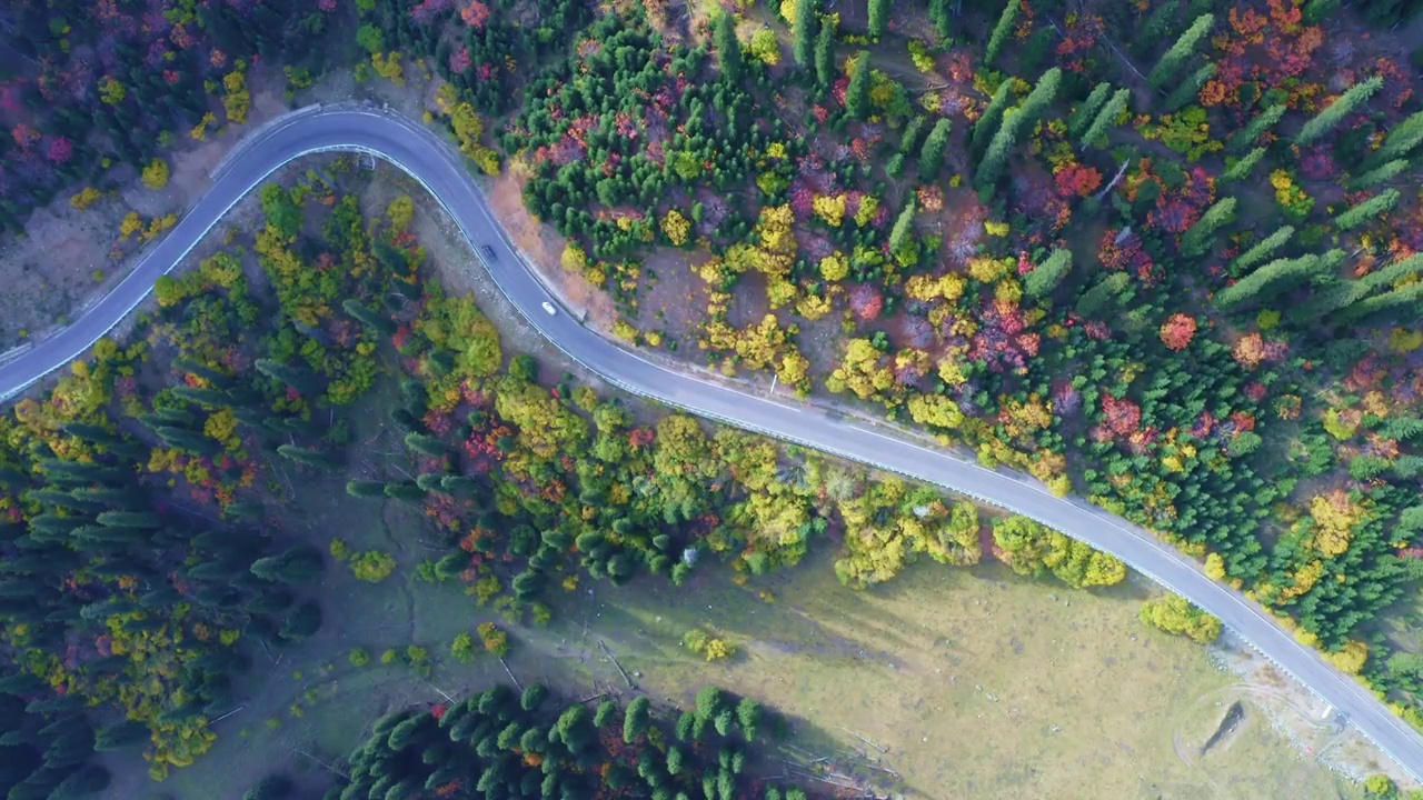 秋季的独库公路视频素材