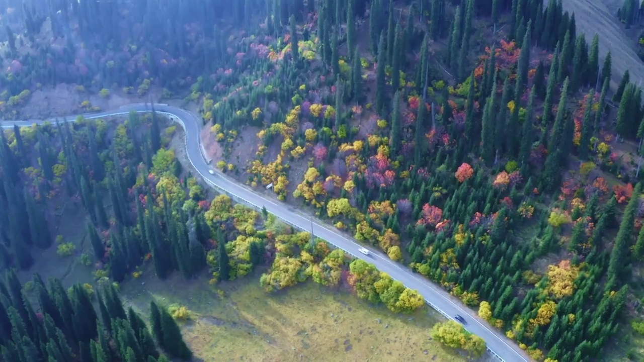 秋季的独库公路视频素材