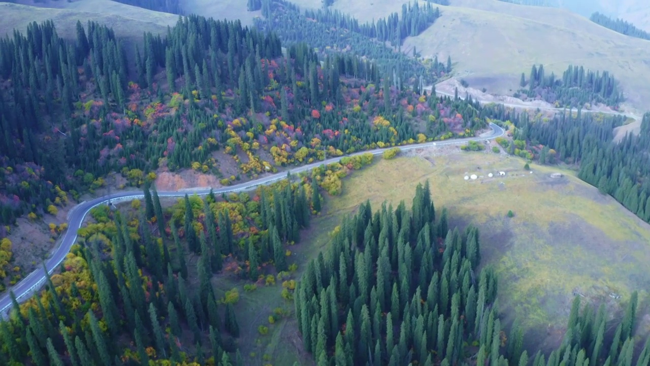 秋季的独库公路视频素材