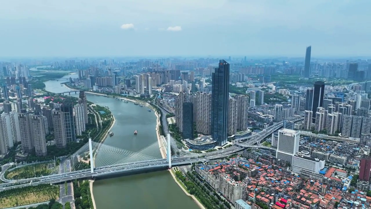 夏季白天武汉月湖风景区风光航拍视角视频素材