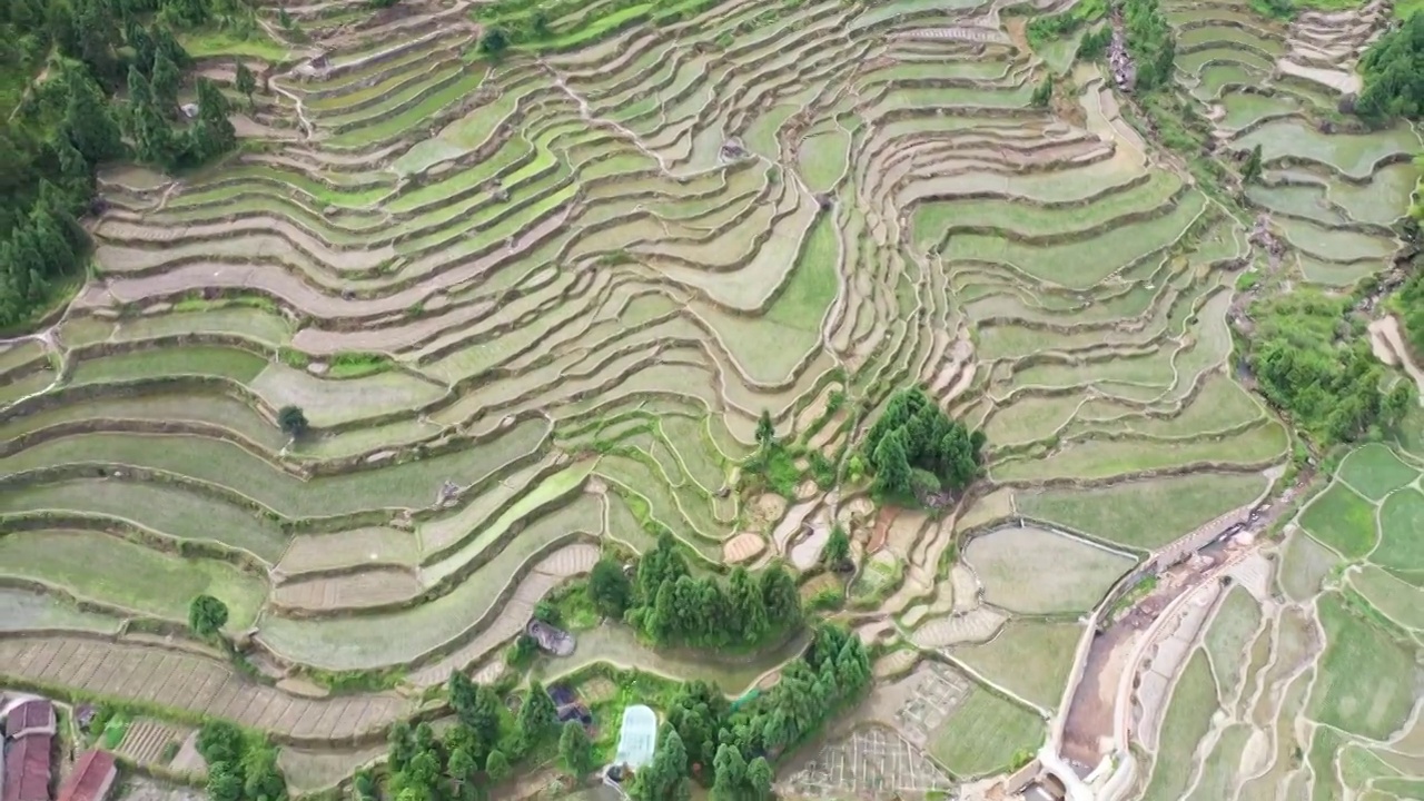 传统村落吴布村吴布梯田视频素材