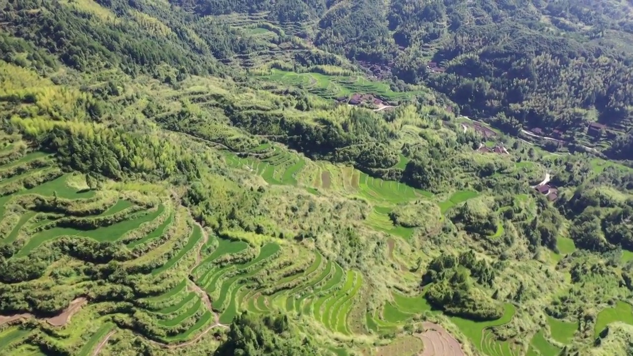 丽水传统村落景宁新塘垟村视频素材