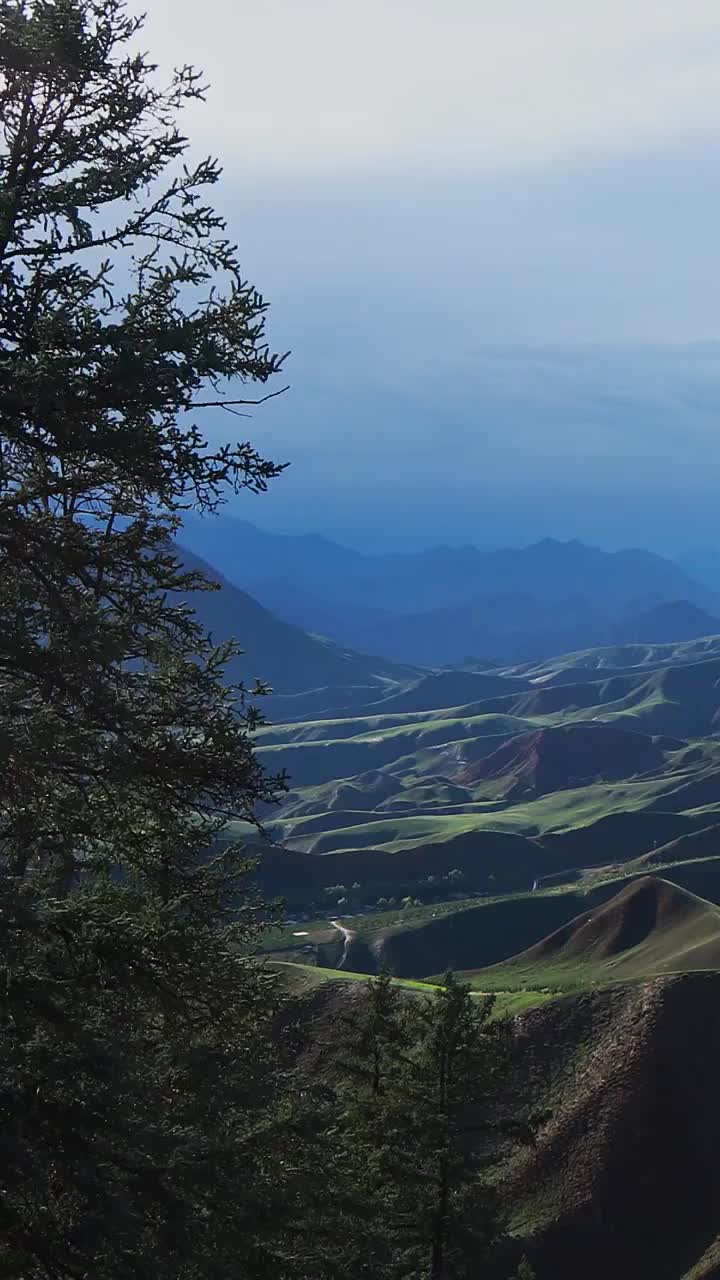 祁连山的风光，祁连卓尔山景区，夏季的祁连山，祁连草原，绿水青山，避暑胜地视频素材