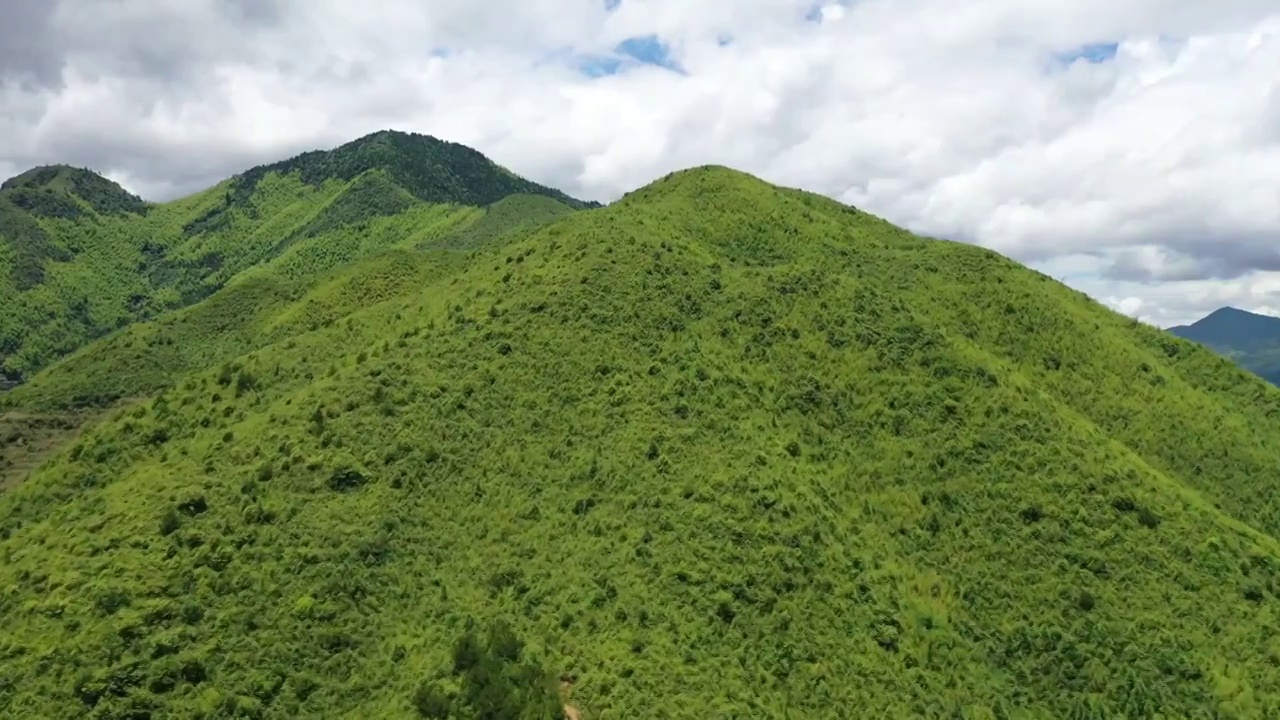 绿色浙南大山视频素材