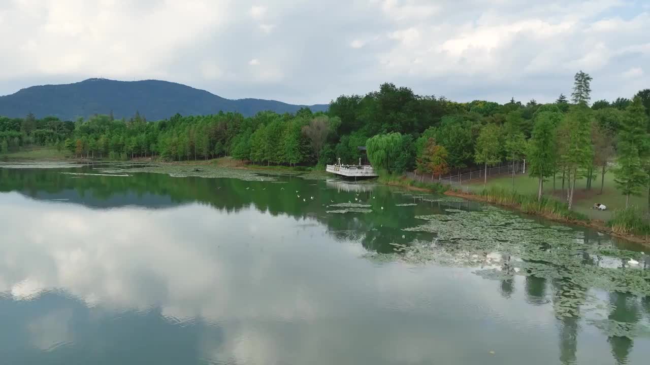 航拍钟山风景区燕雀湖风光视频素材