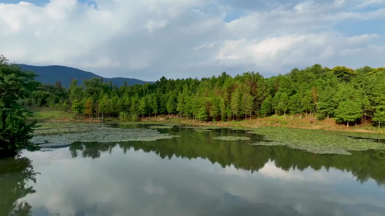 航拍钟山风景区燕雀湖风光视频素材