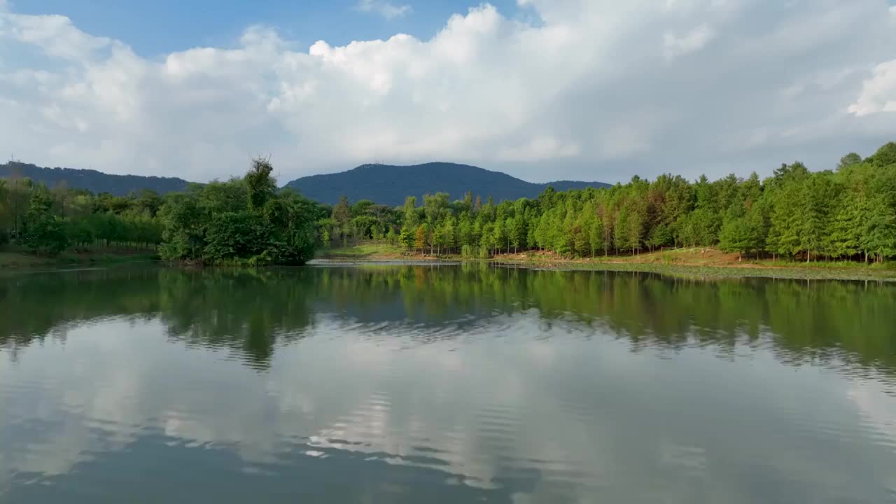 航拍钟山风景区燕雀湖风光视频素材