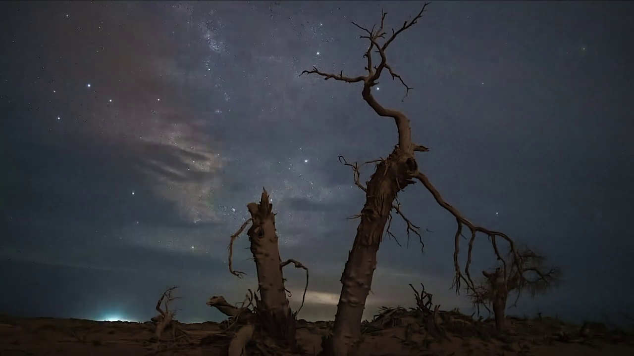 星空下的内蒙额济纳胡杨树视频素材