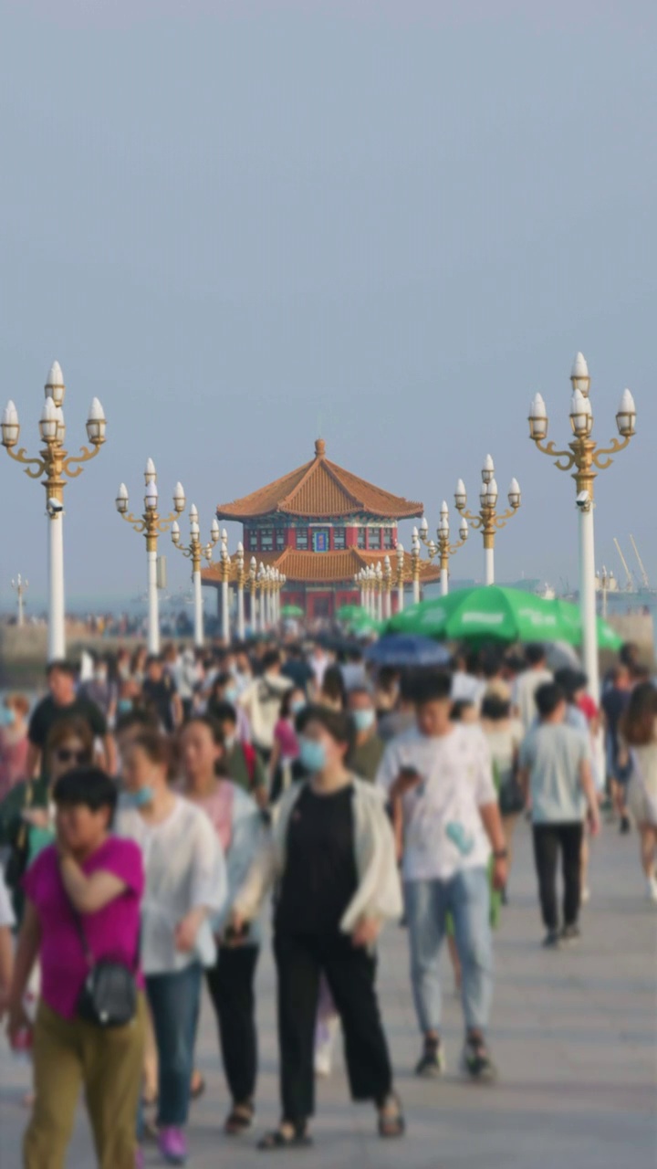 夏日青岛栈桥附近沿海风光旅游视频素材