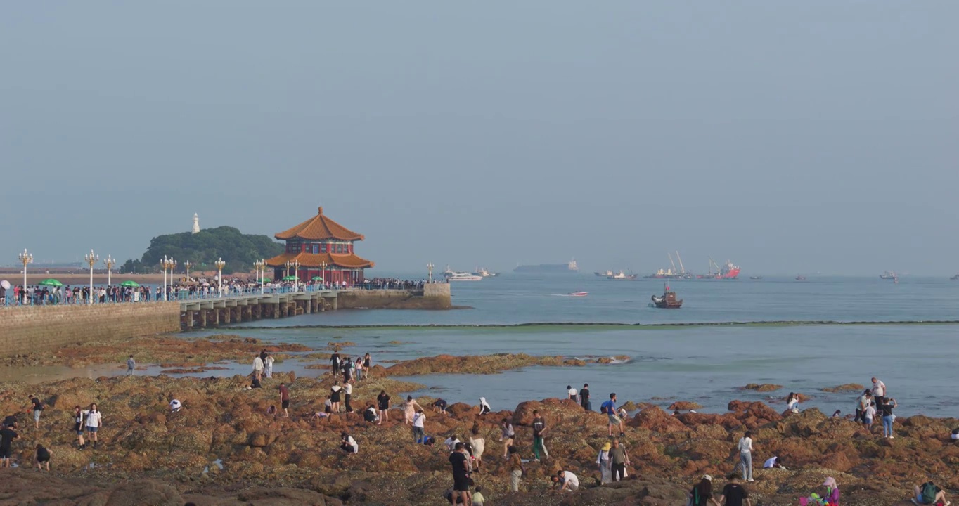 夏日青岛栈桥附近沿海风光旅游视频素材