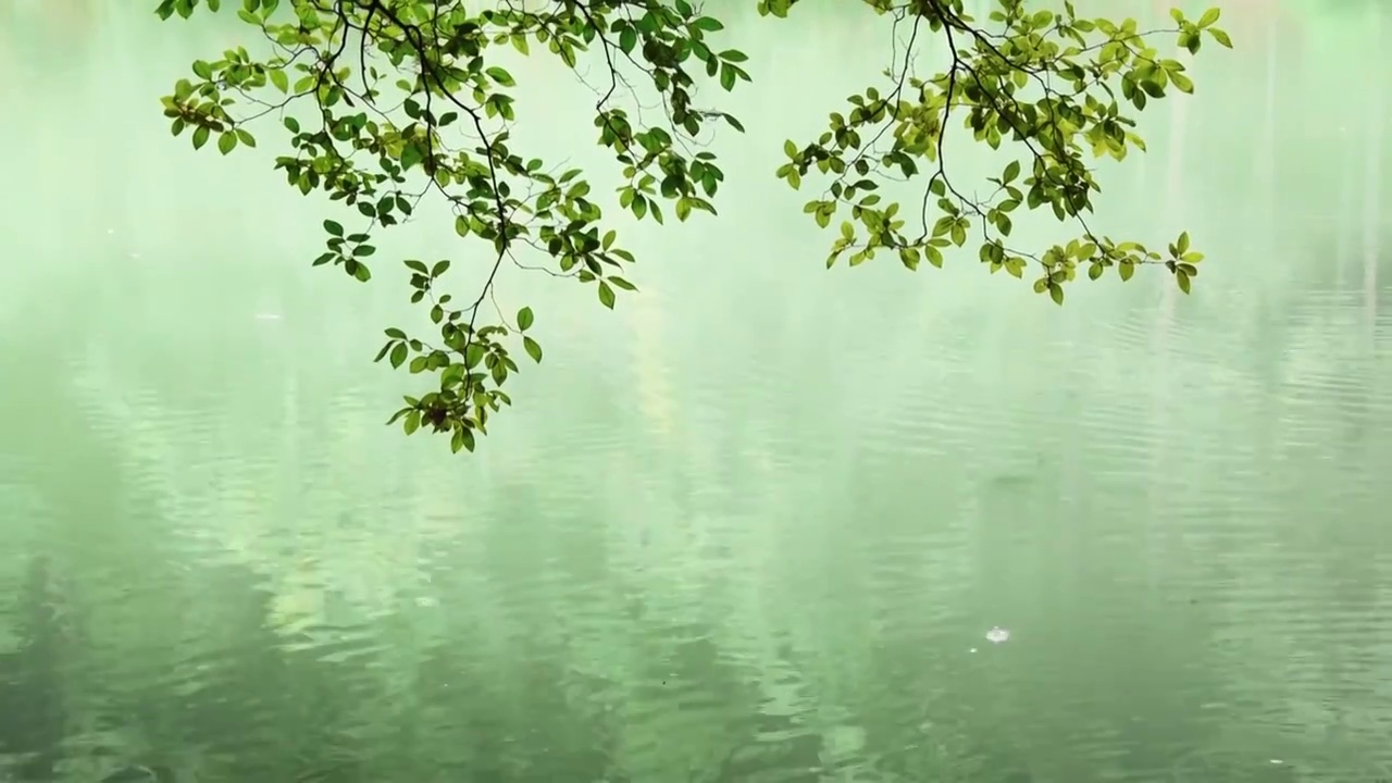 贵州荔波鸳鸯湖卧龙潭航拍视频素材