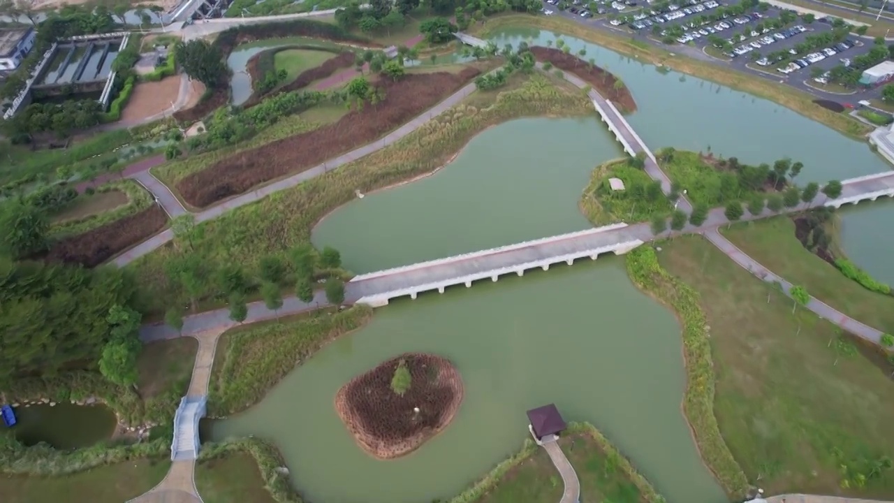 深圳石岩湖湿地公园视频素材