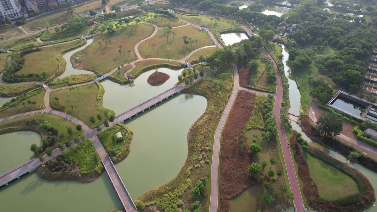 深圳石岩湖湿地公园视频素材