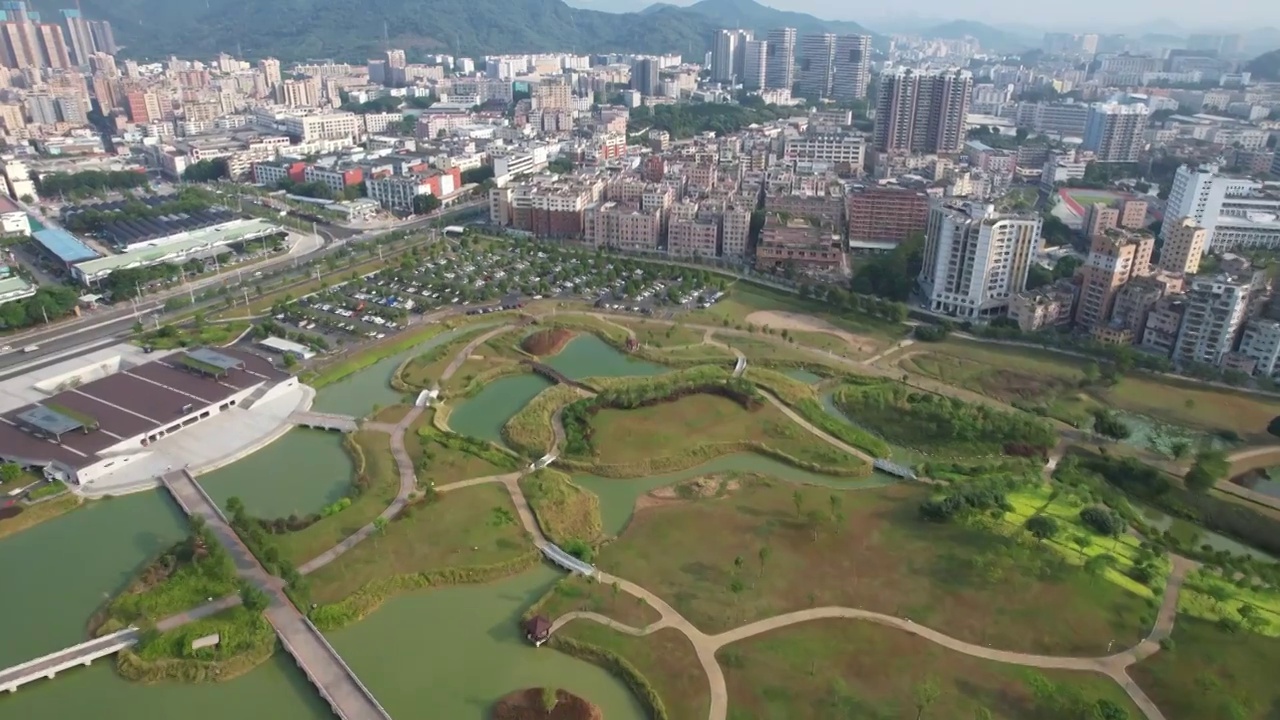 深圳石岩湖湿地公园视频素材