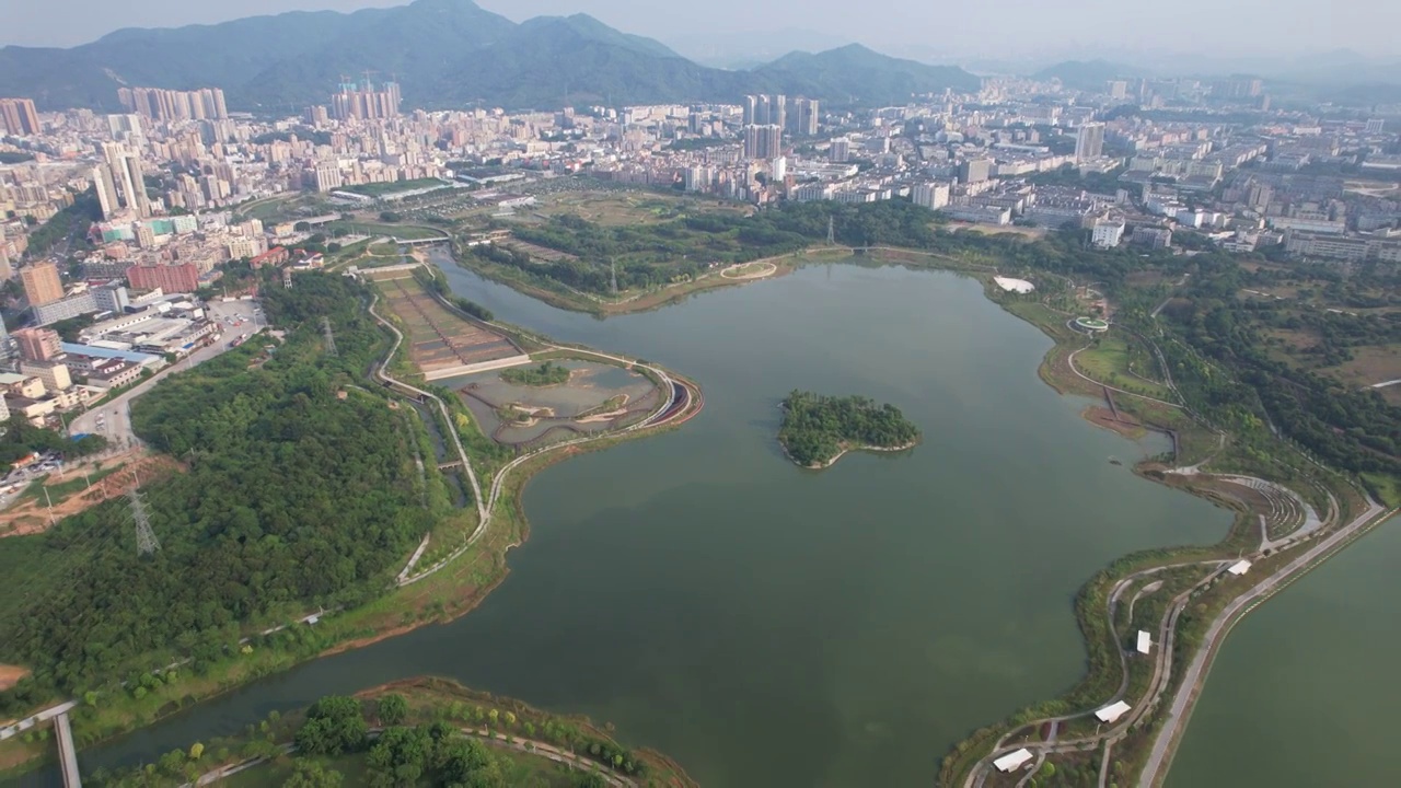 深圳石岩湖湿地公园视频素材