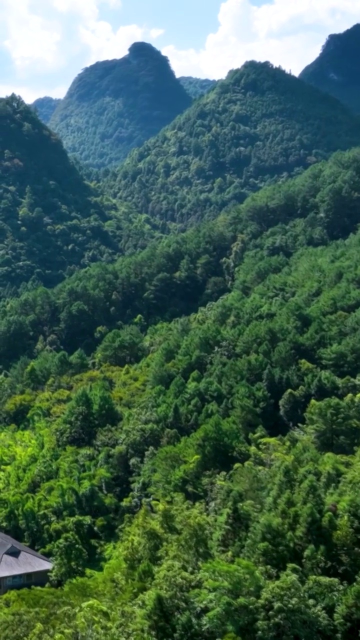 高清竖屏航拍河池南丹里湖乡清秀山林（合集）视频素材