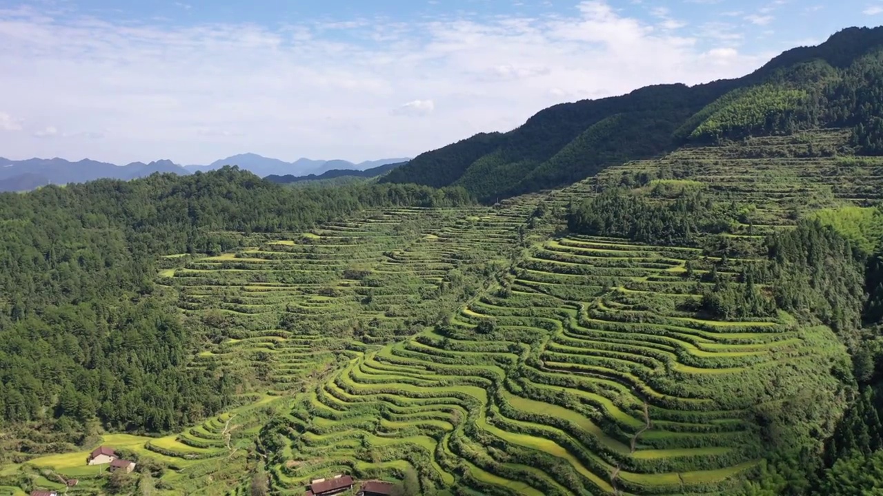 景宁大地乡梯田视频素材