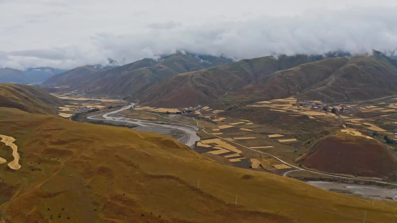 青稞田的航拍视角，充古乡的青稞，秋天的农田，青稞地的河谷视频素材