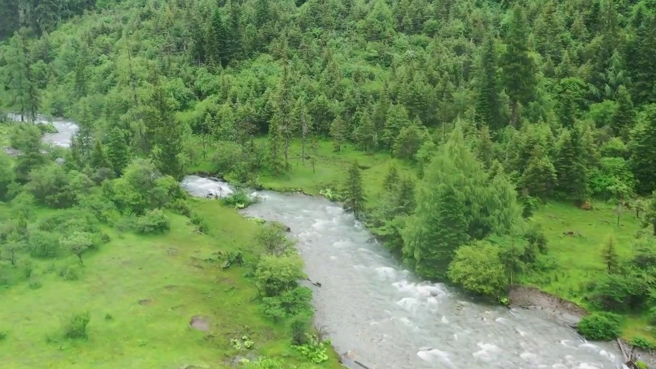 航拍四姑娘山森林河流自然风光视频素材