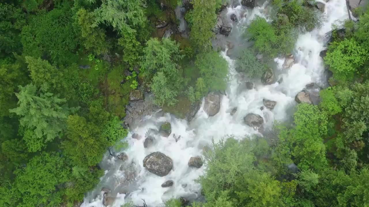 航拍四姑娘山森林河流自然风光视频素材