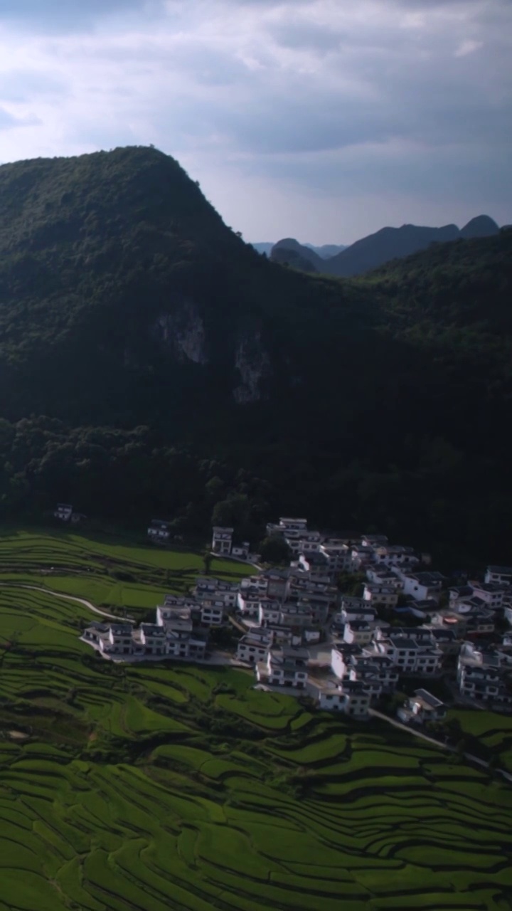 高清竖屏航拍南丹巴平梯田清晨风景（合集）视频素材