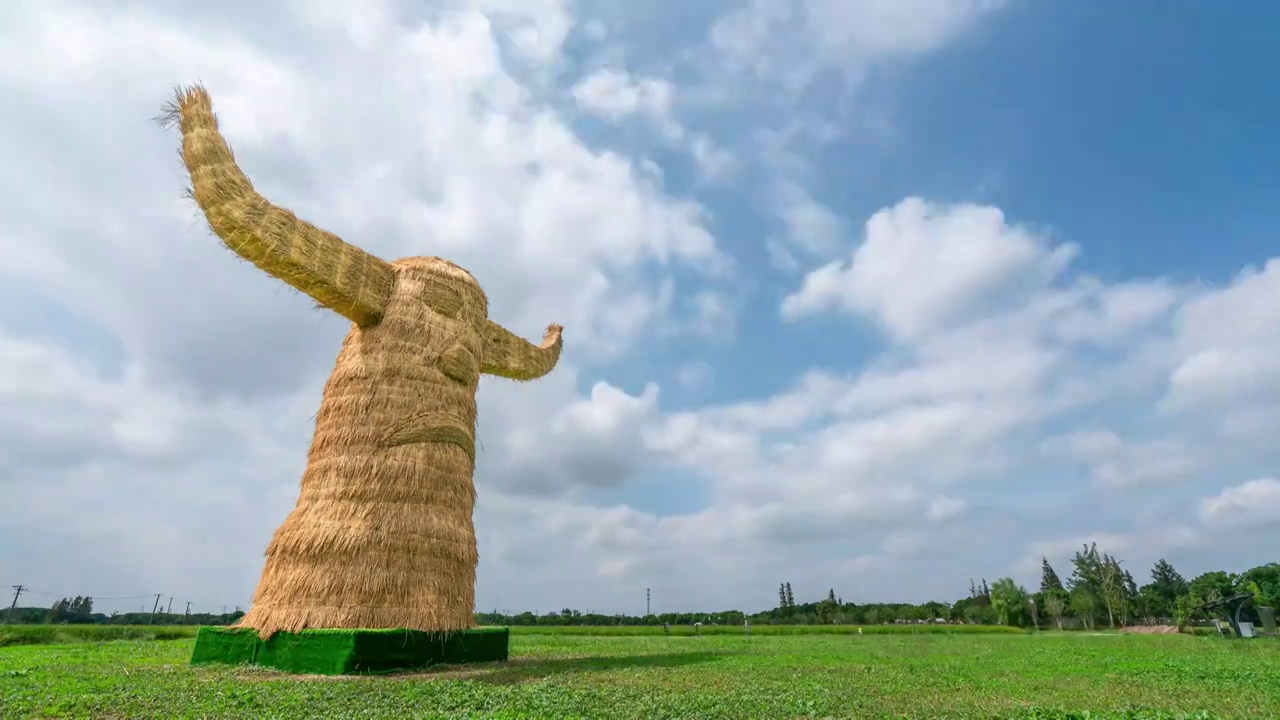 秋季稻田里高大的稻草人视频素材