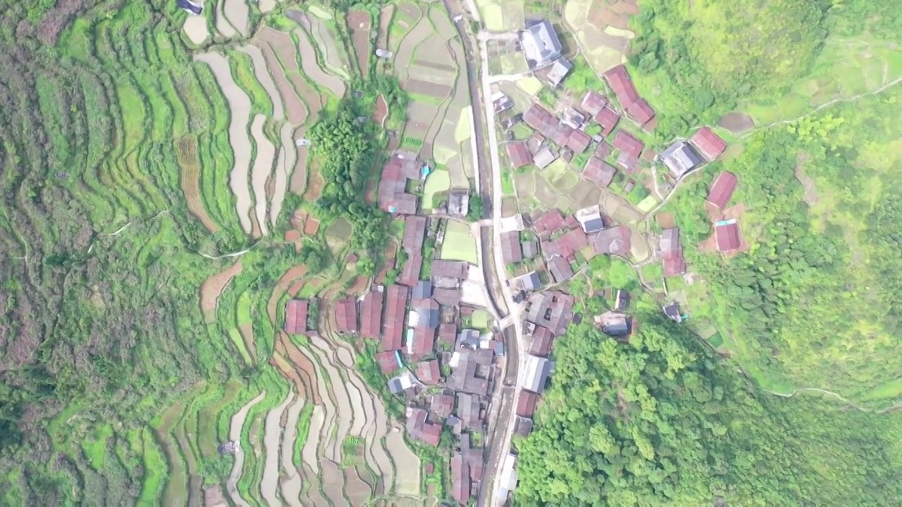 丽水传统村落景宁县金包山村视频素材