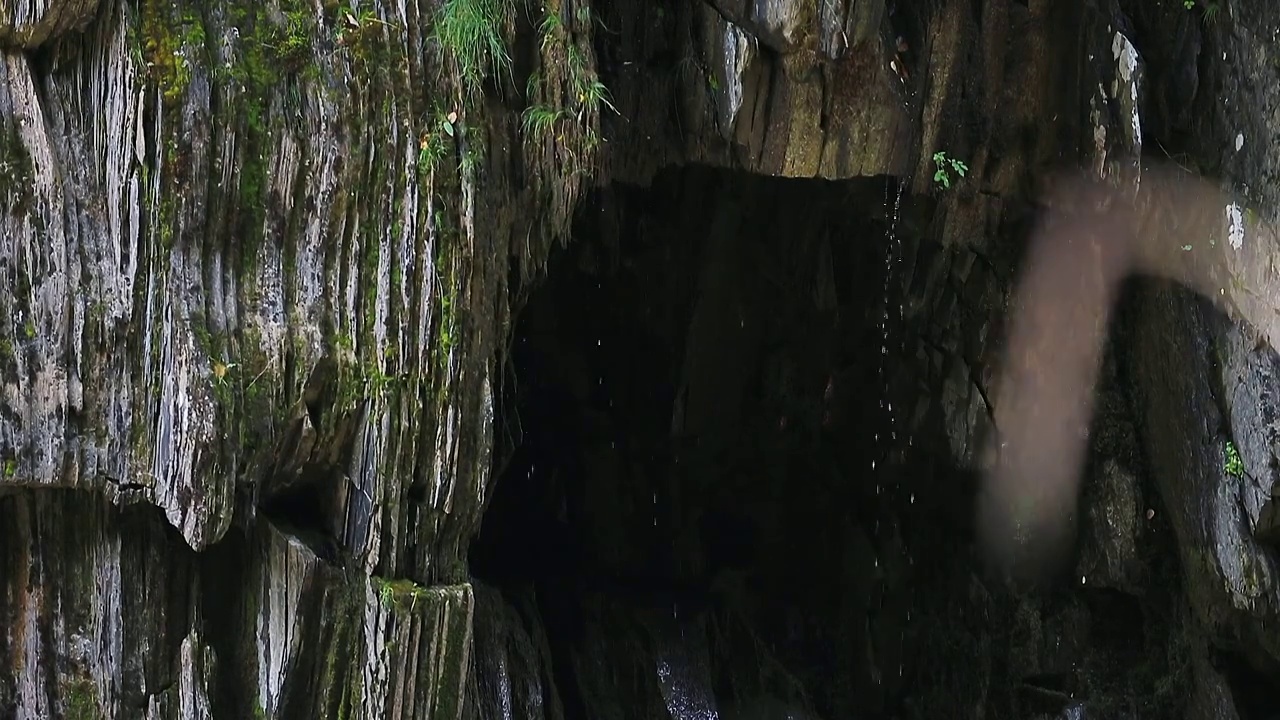 阿坝茸安峡谷河流视频素材