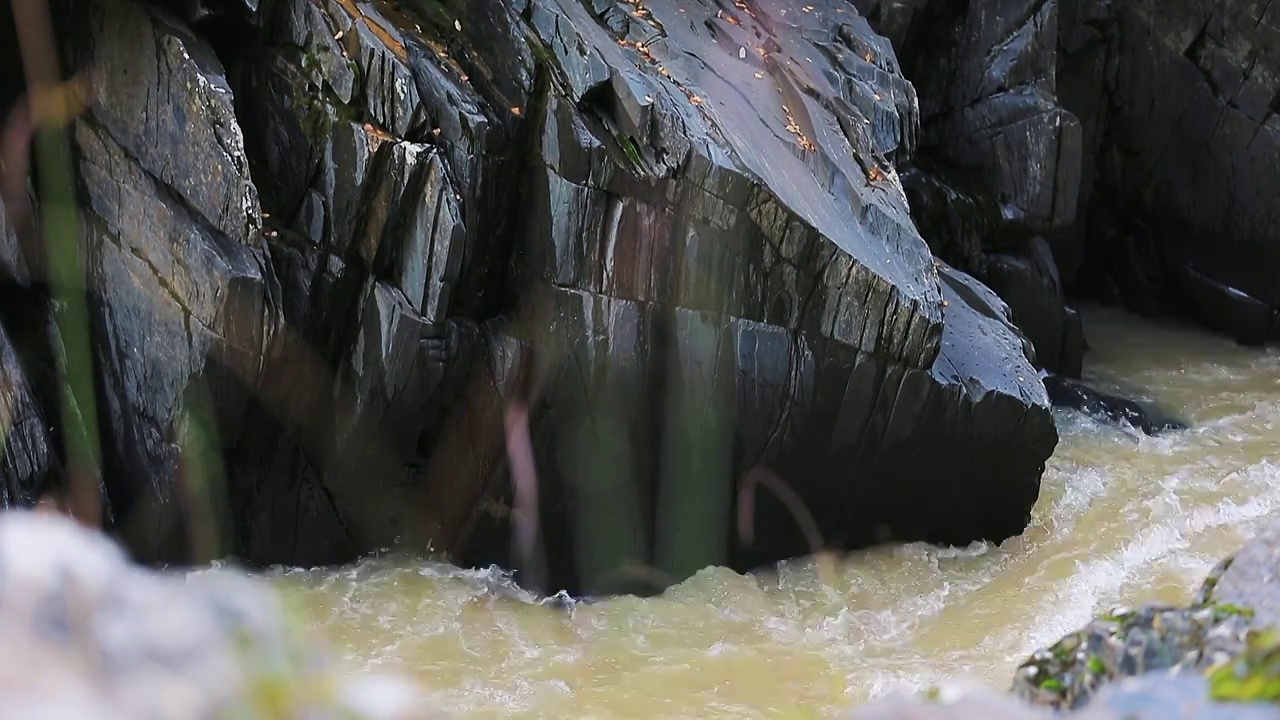 阿坝茸安峡谷河流视频素材