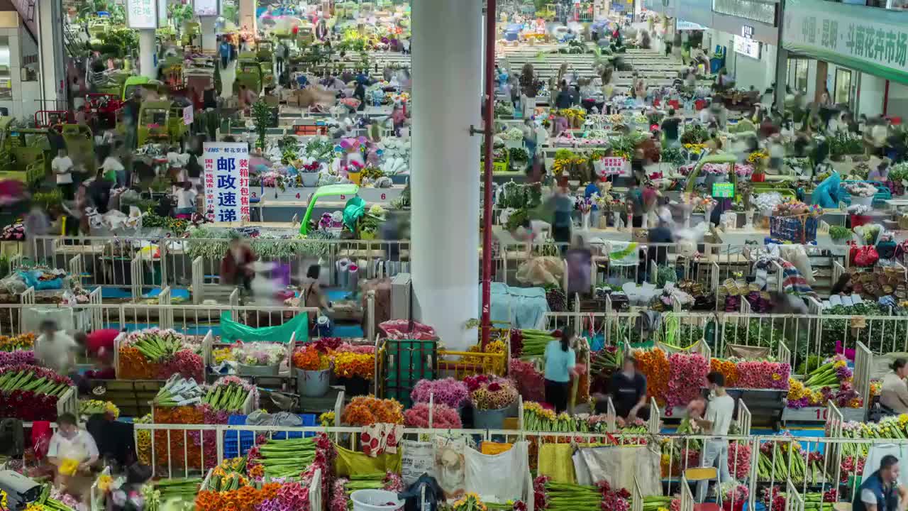 昆明斗南花卉交易市场延时视频素材