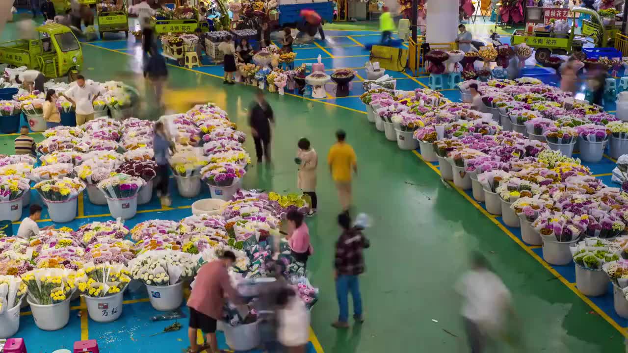 昆明斗南花卉交易市场延时视频素材