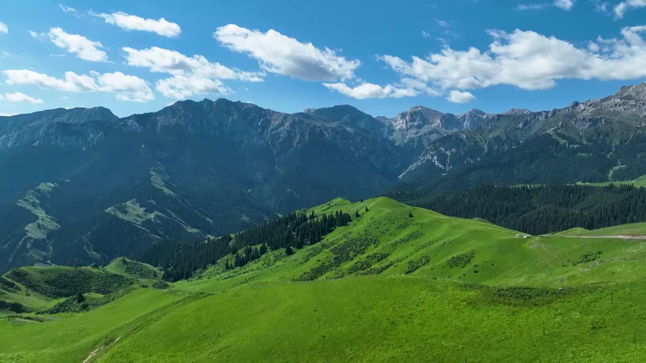 航拍新疆昭苏草原风景视频素材