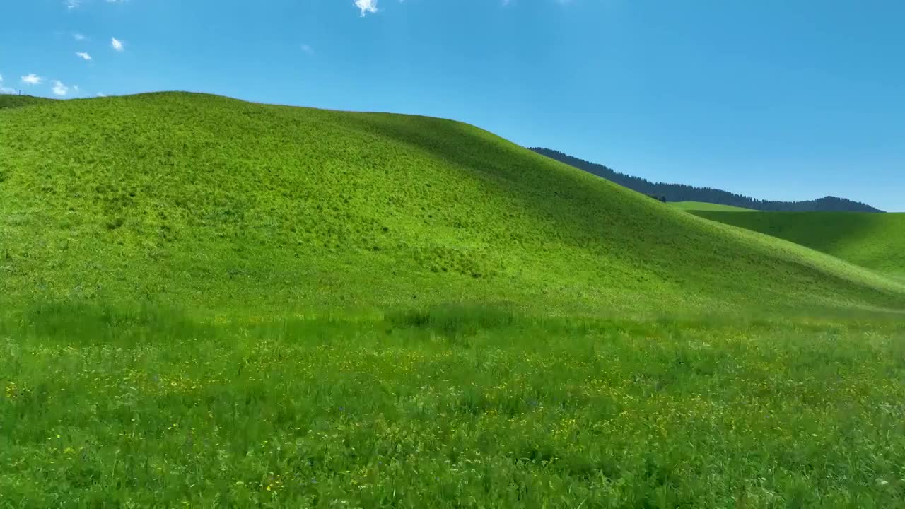 航拍新疆昭苏草原风景视频素材