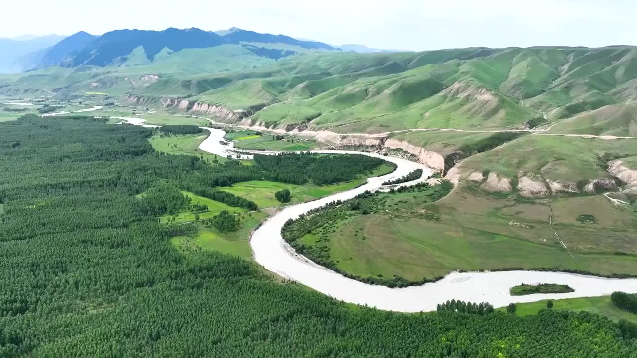 航拍新疆喀拉峻琼库什台村落的草原和森林视频素材